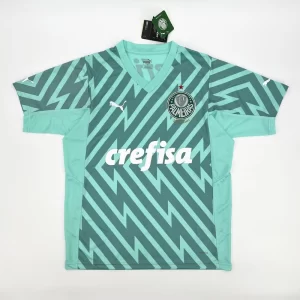 Palmeiras 2024-25 Goleiro Verde Jersey Fan Version