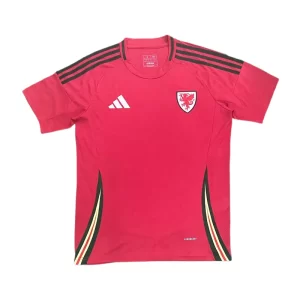 Wales 2024-25 Euro Home Jersey Fan Version