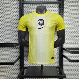 France 2025-26 Goalkeeper Jersey Player Version