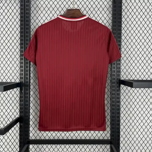 Bayern Munich 2025-26 Special Edition Jersey Fan Version - Image 2