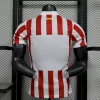 Atletico Madrid 2025-26 Home Jersey Player Version - Image 2