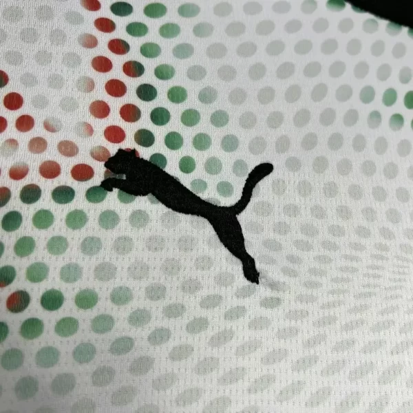Portugal 2025-26 Away Jersey Fan Version - Image 5