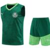 Palmeiras 2024-25 Green Vest Training Kit