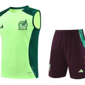 Mexico 2025-26 Neon Green Vest Training Kit
