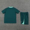 Tottenham Hotspur 2024-25 Dark Green Short Sleeve Training Kit - Image 4